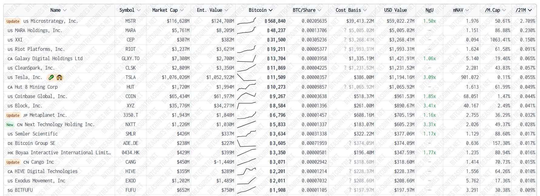 A Massive Bitcoin Purchase Signals Strategic Ambition
