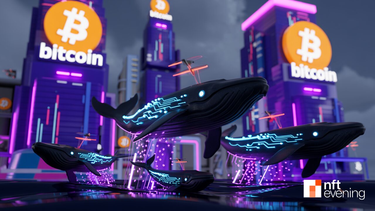 Bitcoin Surges Amid Macro and Market Positivity