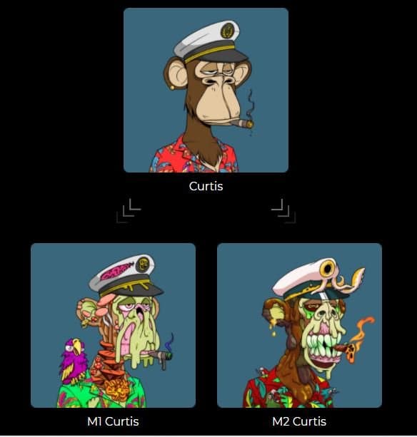Mutant Apes Bored ape yacht club BAYC mayc M1 and M2 serum difference example