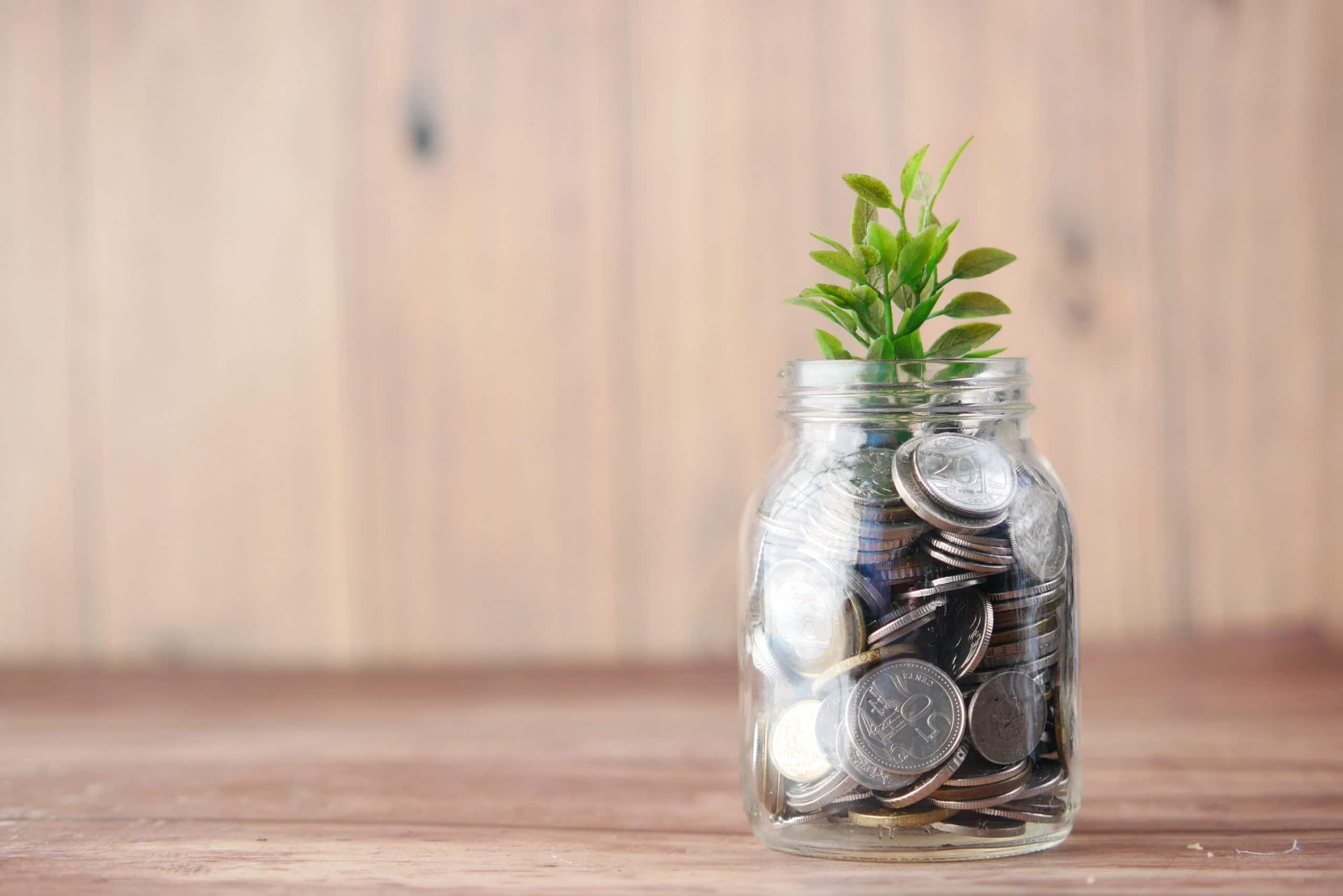 A jar filled with money and a plant