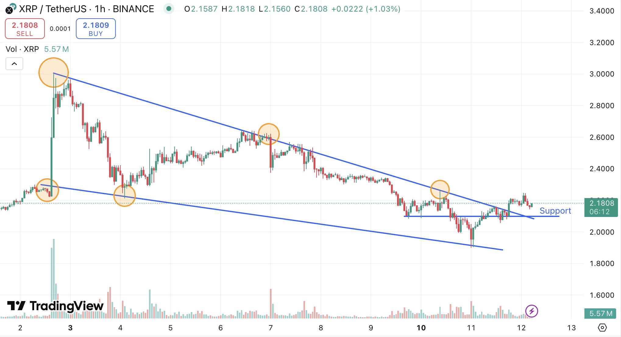 What’s Next on the XRP Chart?