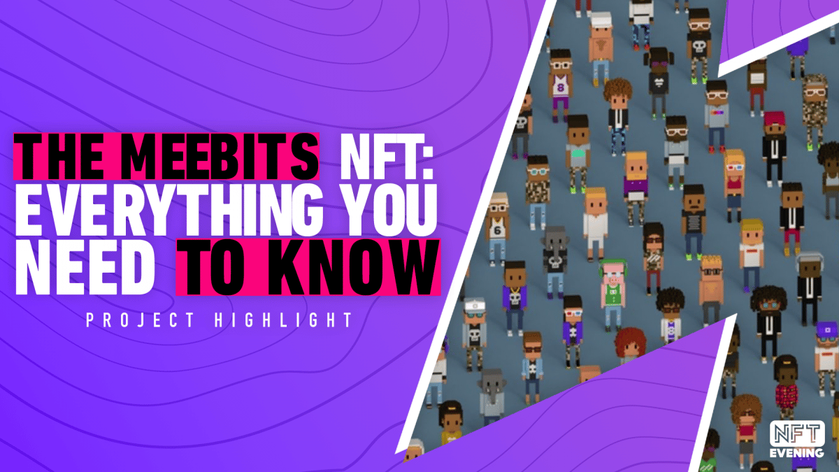 The Meebits NFT- Everything You Need to Know