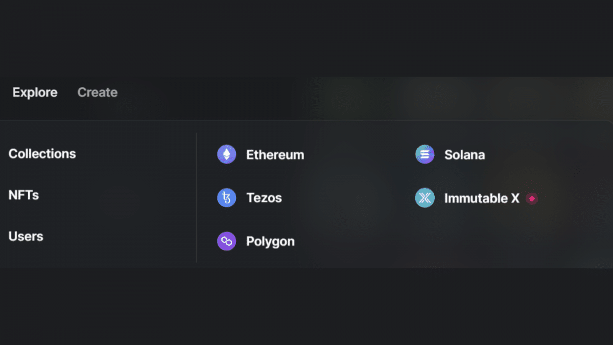 image of all the blockchains on rarible marketplace